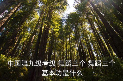 中国舞九级考级 舞蹈三个 舞蹈三个 基本功是什么