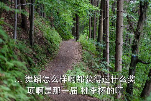桃李杯扇骨舞蹈视频,第七届桃李杯a组表演舞者是否名列三甲?
