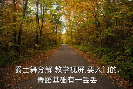  爵士舞分解 教学视屏,要入门的, 舞蹈基础有一丢丢