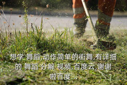 想学 舞蹈,动作简单的街舞,有详细的 舞蹈 分解 视频,百度云,谢谢啦百度...