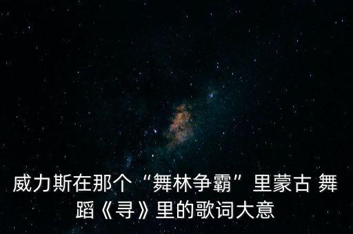 威力斯在那个“舞林争霸”里蒙古 舞蹈《寻》里的歌词大意