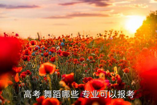 高考 舞蹈专业,walk艺考专业介绍如何报名参加艺术考试?
