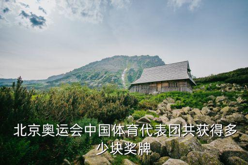  北京奥运会中国体育代表团共获得多少块奖牌