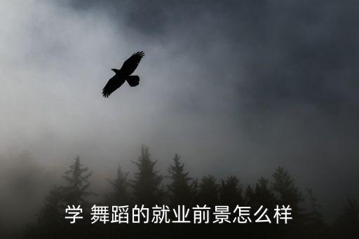 应聘合肥舞蹈培训怎么样,从小爱跳舞的孩子将来可进军国防部队