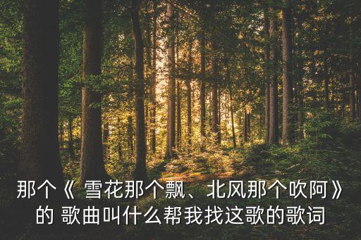 那个《 雪花那个飘、北风那个吹阿》的 歌曲叫什么帮我找这歌的歌词