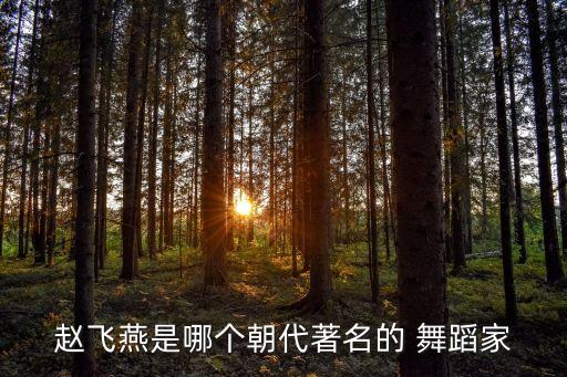 赵飞燕是哪个朝代著名的 舞蹈家