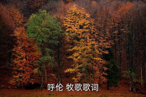 呼伦 牧歌歌词