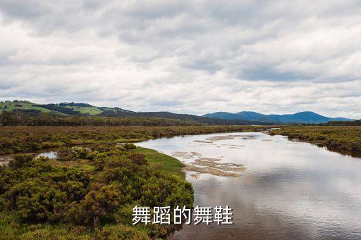 足尖舞蹈鞋,我国舞蹈鞋市场上售卖逾200元