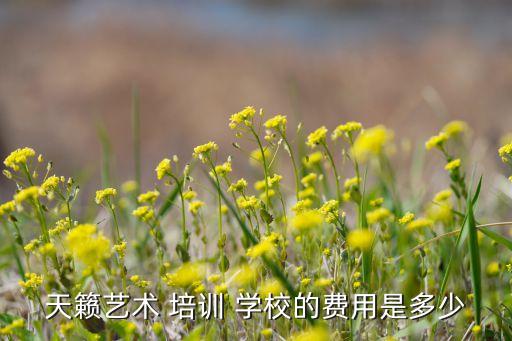 专业舞蹈培训学校价格,学习舞蹈相当于提高自己的基本功