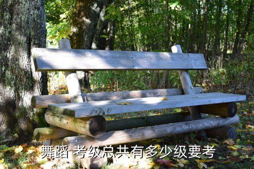  舞蹈 考级总共有多少级要考