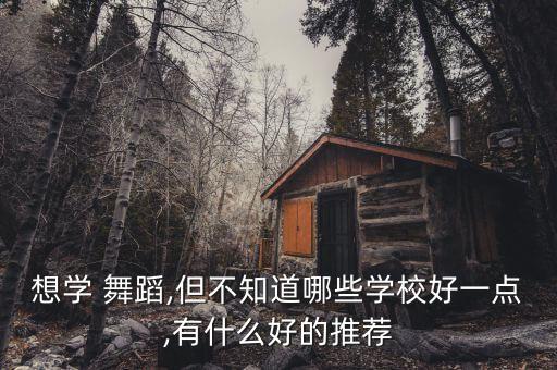 上海戏剧学院舞蹈视频,三届荷花奖艺术表演舞蹈摩登舞铜奖得主