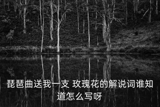 新疆玫瑰舞蹈反面,新疆民谣琵琶弹奏乐