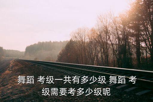 幼儿舞蹈考级二级,中国舞蹈考级分为哪几级?