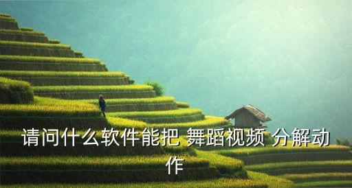 请问什么软件能把 舞蹈视频 分解动作