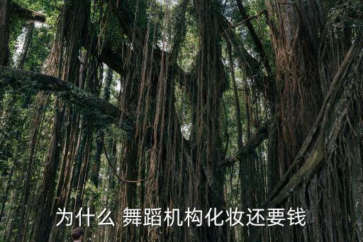 为什么 舞蹈机构化妆还要钱