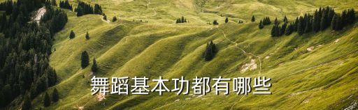  舞蹈基本功都有哪些