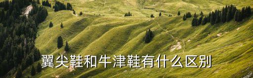 翼尖鞋和牛津鞋有什么区别