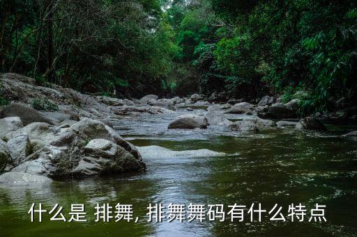 周末的舞蹈 排舞,国际统一舞蹈代码即日起正式推广