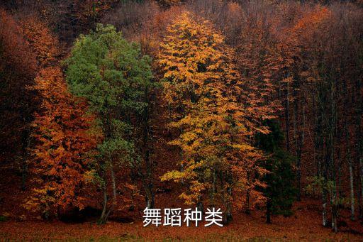 舞蹈的种类与风格,根据舞蹈1表现形式分类可分为独舞和舞蹈