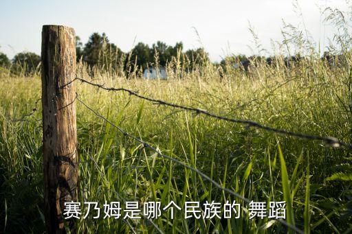 赛乃姆是哪个民族的 舞蹈