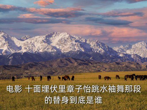 电影 十面埋伏里章子怡跳水袖舞那段的替身到底是谁