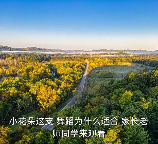 感动家长的舞蹈,幼儿舞蹈很直观体现孩子活泼有趣