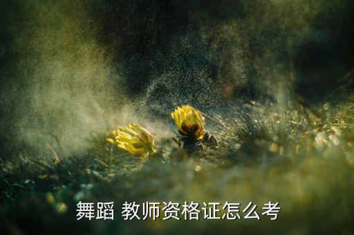  舞蹈 教师资格证怎么考