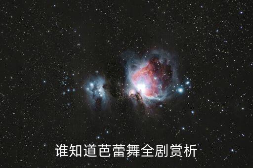 鉴赏舞蹈天鹅湖,芭蕾舞剧《天鹅湖》第二幕介绍