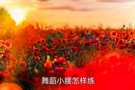  舞蹈小腰怎样练