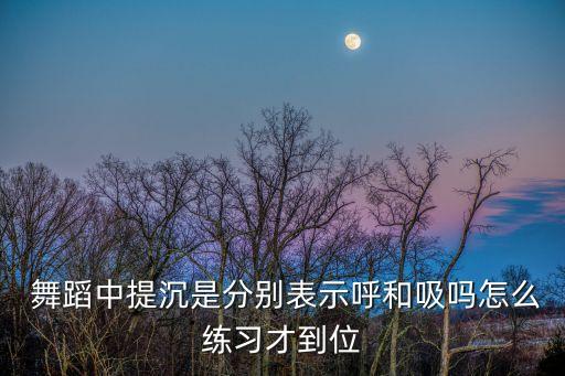  舞蹈中提沉是分别表示呼和吸吗怎么练习才到位
