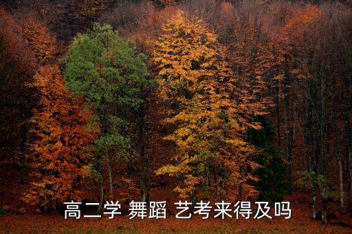  高二学 舞蹈 艺考来得及吗