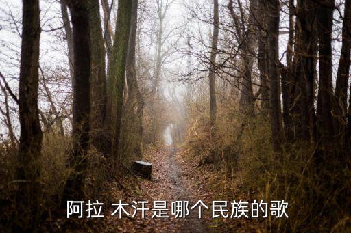  阿拉 木汗是哪个民族的歌