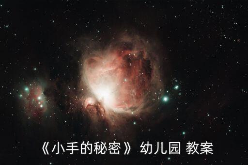 《小手的秘密》 幼儿园 教案