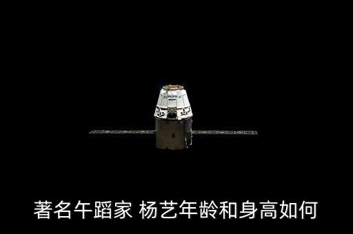 著名午蹈家 杨艺年龄和身高如何