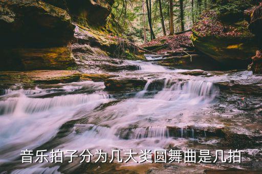 音乐拍子分为几大类圆舞曲是几拍