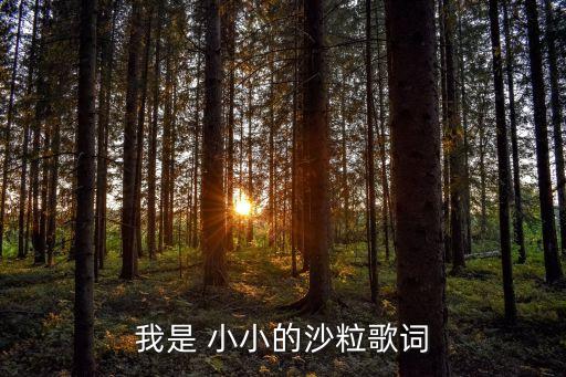 小小的一粒沙舞蹈示范,一粒一沙一世界一花一天堂最美的童话