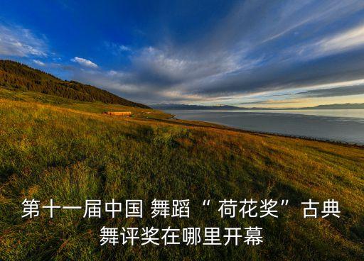 荷花状舞蹈,百部原创舞蹈作品入选第十一届中国/"荷花奖