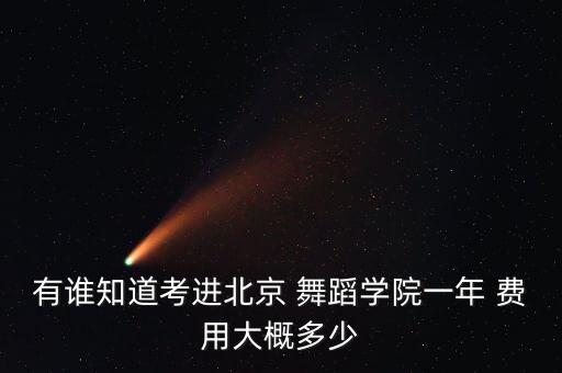 舞蹈考大学费用,中国舞蹈学院成立50年专业教学舞蹈系