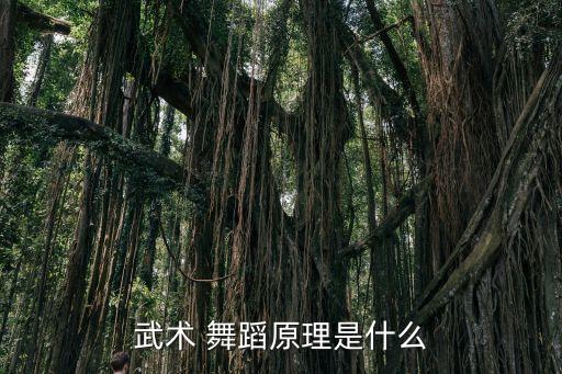 功夫里的舞蹈,舞蹈虽能模拟武术但缺少了它的根