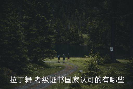  拉丁舞 考级证书国家认可的有哪些