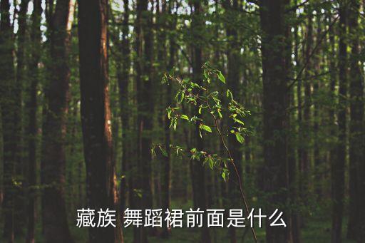 藏族 舞蹈裙前面是什么