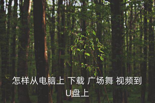 怎样从电脑上 下载 广场舞 视频到U盘上