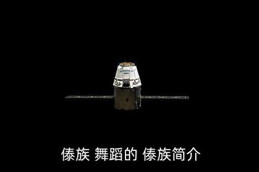  傣族 舞蹈的 傣族简介