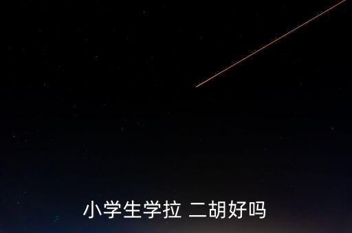 小学生学拉 二胡好吗
