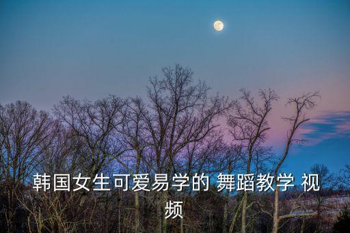  韩国女生可爱易学的 舞蹈教学 视频