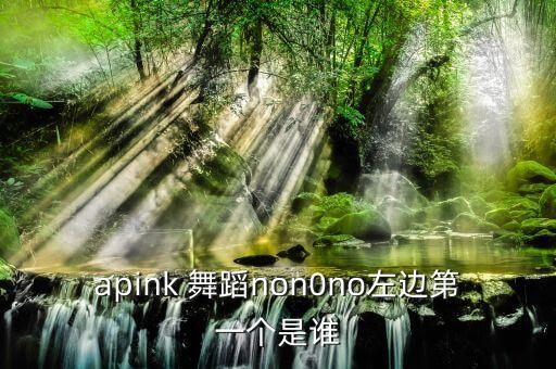 apink 舞蹈non0no左边第一个是谁