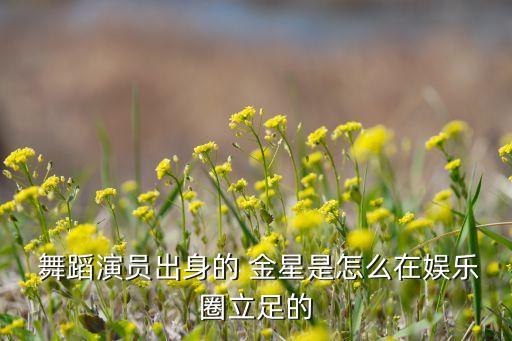 舞蹈 金星,舞蹈天才金星出任上海金星现代舞蹈团团长