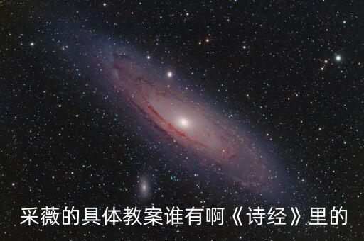  采薇的具体教案谁有啊《诗经》里的