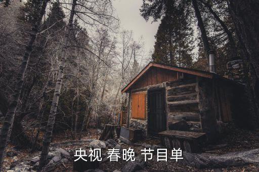 央视 春晚 节目单