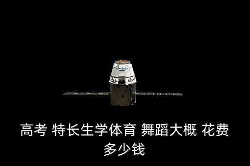 高考 特长生学体育 舞蹈大概 花费多少钱